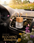 Blooming Meadow